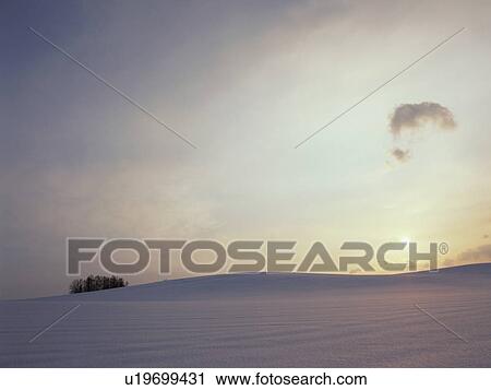 Stock Image - Snow-covered field in Hokkaido, Japan. Fotosearch