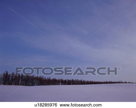 Snow-covered field in Hokkaido, Japan View Large Photo Image Stock Photograph - Snow-covered field in Hokkaido, Japan. Fotosearch