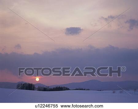 Snow-covered field in Hokkaido, Japan View Large Photo Image Stock Photography - Snow-covered field in Hokkaido, Japan. Fotosearch