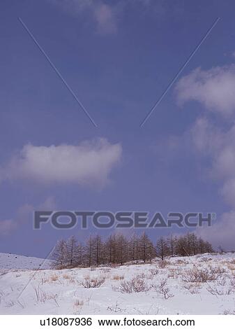 Snow-covered field in Nagano Prefecture, Japan View Large Photo Image Stock Photograph - Snow-covered field in Nagano Prefecture, Japan. Fotosearch