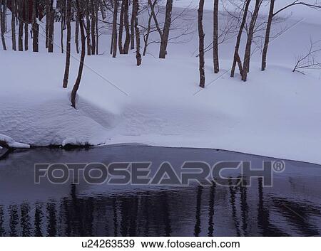 Snow covered forest View Large Photo Image Stock Photo - Snow covered forest. Fotosearch