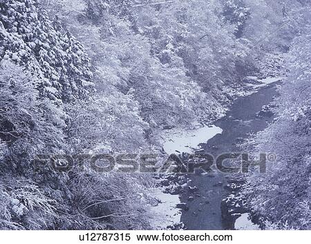 Snow covered trees View Large Photo Image Stock Photography - Snow covered trees. Fotosearch