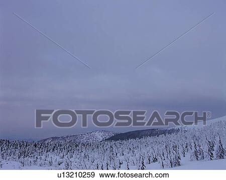 Snowcapped mountain in Yamagata Prefecture, Japan View Large Photo Image Stock Photo - Snowcapped mountain in Yamagata Prefecture, Japan. Fotosearch
