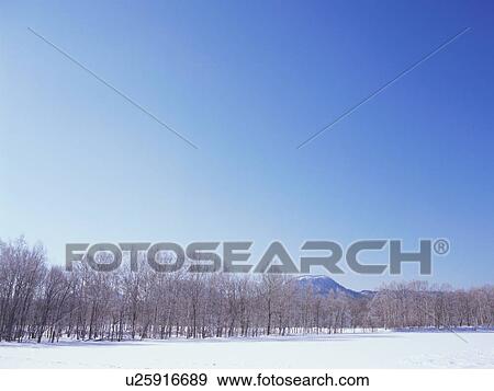 Winter landscape, Hokkaido, Japan View Large Photo Image Stock Photo - Winter landscape, Hokkaido, Japan. Fotosearch