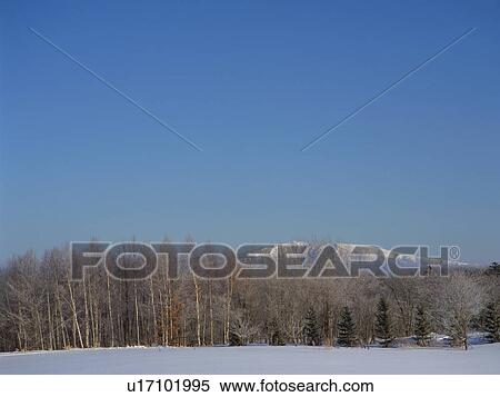Winter landscape, Hokkaido, Japan View Large Photo Image Stock Photography - Winter landscape, Hokkaido, Japan. Fotosearch