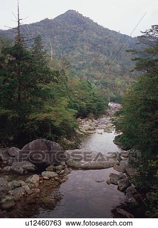 Anbo River, Yakushima, Japan View Large Photo Image Stock Image - Anbo River, Yakushima, Japan. Fotosearch