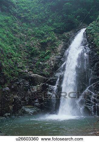 Anmon no Taki Falls, Shirakami Sanchi, Japan View Large Photo Image Stock Image - Anmon no Taki Falls, Shirakami Sanchi, Japan. Fotosearch