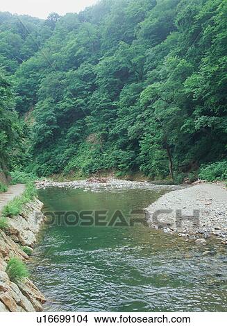 Anmon River, Shirakami Sanchi, Japan View Large Photo Image Picture - Anmon River, Shirakami Sanchi, Japan. Fotosearch