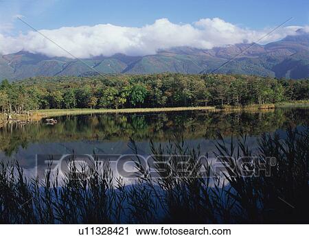 Stock Image - Five Lakes in Shiretoko, Hokkaido, Japan. Fotosearch