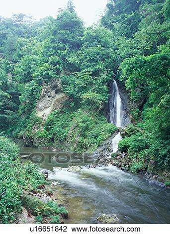 Fudo waterfall in Yamagata Prefecture, Japan View Large Photo Image Stock Image - Fudo waterfall in Yamagata Prefecture, Japan. Fotosearch