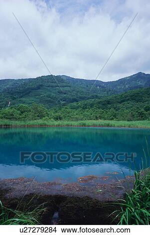 Picture - Goshikinuma in Iwate Prefecture, Japan. Fotosearch