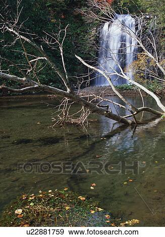 Kumagoe Waterfall, Shiretoko, Hokkaido, Japan View Large Photo Image Stock Photo - Kumagoe Waterfall, Shiretoko, Hokkaido, Japan. Fotosearch