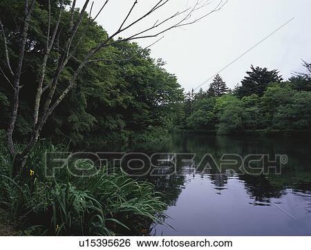 Kumoba Pond View Large Photo Image Stock Photograph - Kumoba Pond. Fotosearch