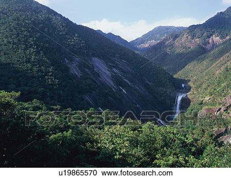 Senpiro Waterfalls, Yakushima, Japan View Large Photo Image Stock Image - Senpiro Waterfalls, Yakushima, Japan. Fotosearch