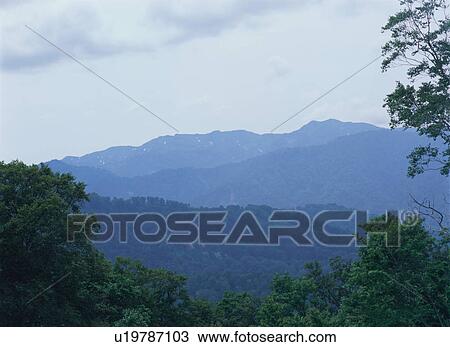 Shirakami Sanchi, Japan View Large Photo Image Stock Image - Shirakami Sanchi, Japan. Fotosearch