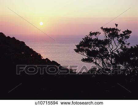 Sunset in Yakushima, Japan View Large Photo Image Picture - Sunset in Yakushima, Japan. Fotosearch