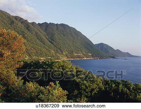 Yakushima, Japan View Large Photo Image Stock Photo - Yakushima, Japan. Fotosearch