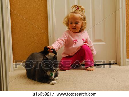 Close-up of a girl playing with a cat View Large Photo Image Stock Photo - Close-up of a girl playing with a cat. Fotosearch