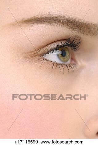 Close-up of a young woman's eye View Large Photo Image Stock Photo - Close-up of a young woman's eye. Fotosearch