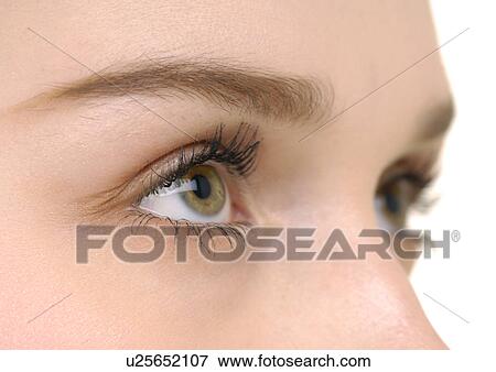 Close-up of a young woman's eye View Large Photo Image Stock Photo - Close-up of a young woman's eye. Fotosearch