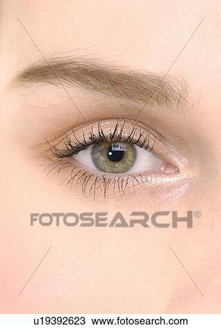 Portrait of a young woman's eye View Large Photo Image Stock Image - Portrait of a young woman's eye. Fotosearch