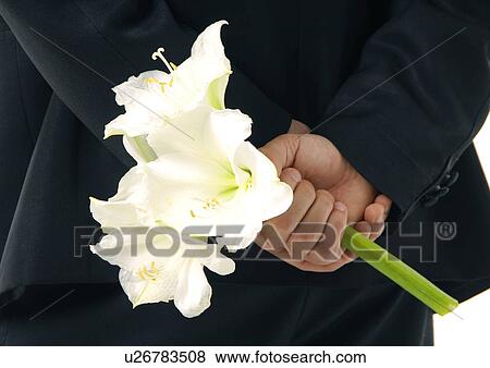 Mid section view of a man holding flowers behind his back View Large Photo Image Stock Photo - Mid section view of a man holding flowers behind his back. Fotosearch