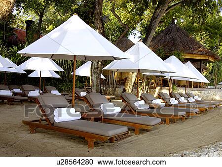 A row of deck chairs arranged under canopies in a resort. View Large Photo Image Stock Image - A row of deck chairs arranged under canopies in a resort.. Fotosearch