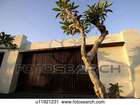 Stock Image - Low angle view of a wooden gate, Brabanvillas.. Fotosearch