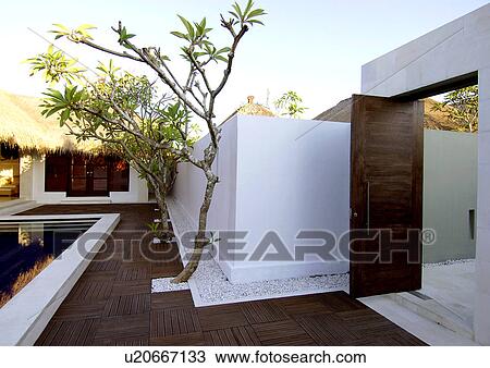 Trees along a wall near a swimming pool View Large Photo Image Stock Image - Trees along a wall near a swimming pool. Fotosearch
