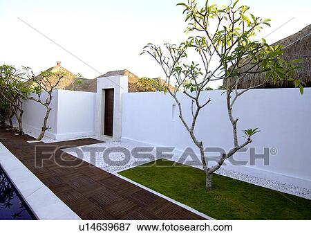 View of a tree beside a wall, Bvilla+Spa. View Large Photo Image Stock Photo - View of a tree beside a wall, Bvilla+Spa.. Fotosearch