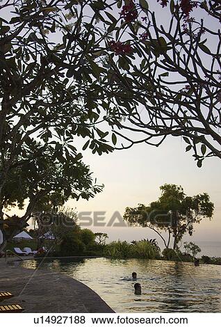 View of people bathing in a swimming pool. View Large Photo Image Stock Photo - View of people bathing in a swimming pool.. Fotosearch