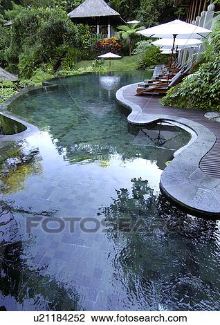 High angle view of a curvy swimming pool in a resort, Mayaubud. View Large Photo Image Stock Image - High angle view of a curvy swimming pool in a resort, Mayaubud.. Fotosearch