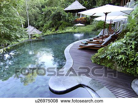 High angle view of a curvy swimming pool in a resort, Mayaubud. View Large Photo Image Stock Photo - High angle view of a curvy swimming pool in a resort, Mayaubud.. Fotosearch