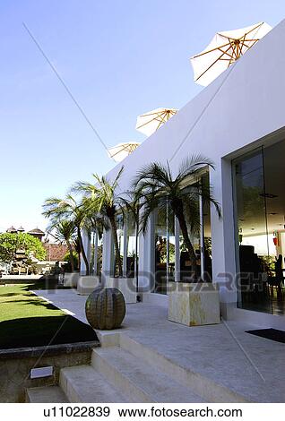 Palm trees in front of a house with glass doors View Large Photo Image Stock Photo - Palm trees in front of a house with glass doors. Fotosearch