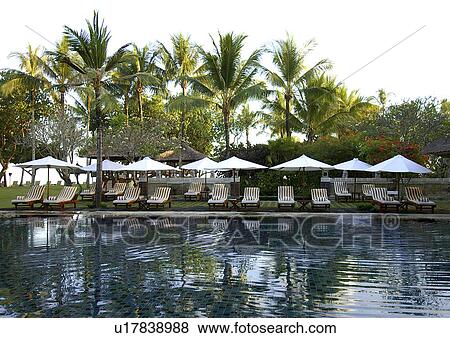 Poolside chairs around a swimming pool at a resort View Large Photo Image Stock Photo - Poolside chairs around a swimming pool at a resort. Fotosearch