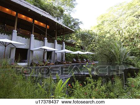 View of a building near a poolside in a resort, Mayaubud. View Large Photo Image Stock Photo - View of a building near a poolside in a resort, Mayaubud.. Fotosearch