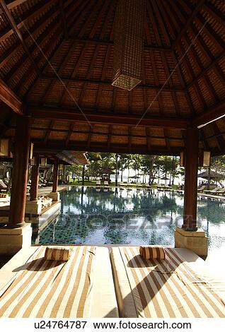View of a shade by a swimming pool. View Large Photo Image Stock Photo - View of a shade by a swimming pool.. Fotosearch