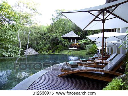 View of deck chairs along a poolside in a resort, Mayaubud. View Large Photo Image Stock Photography - View of deck chairs along a poolside in a resort, Mayaubud.. Fotosearch