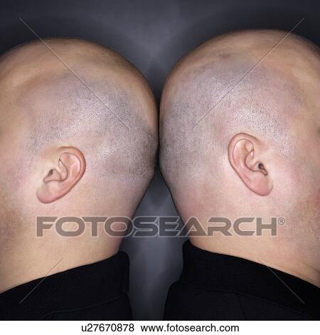 Stock Photo - Close up of ears and head. Fotosearch