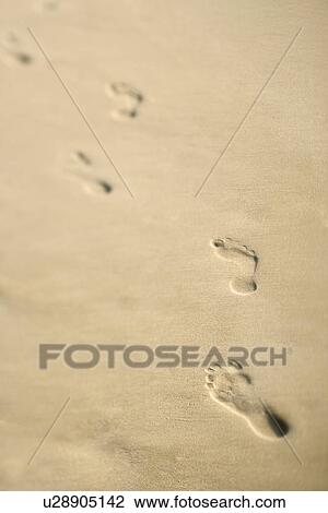 Scenic sandy coastline with footprints. View Large Photo Image Stock Image - Scenic sandy coastline with footprints.. Fotosearch