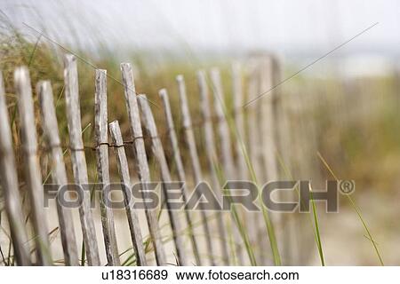 Weathered wooden fence on sand dune View Large Photo Image Stock Photo - Weathered wooden fence on sand dune. Fotosearch
