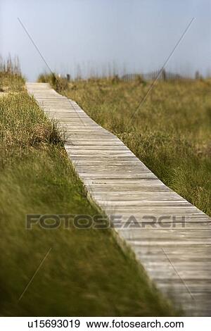 Wooden access path to beach on Bald Head Island, North Carolina View Large Photo Image Stock Photo - Wooden access path to beach on Bald Head Island, North Carolina. Fotosearch