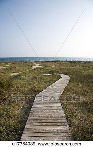 Wooden pathway to beach on Bald Head Island, North Carolina View Large Photo Image Stock Photo - Wooden pathway to beach on Bald Head Island, North Carolina. Fotosearch