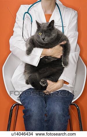 Picture - Female veterinarian holding cat with one eye. Fotosearch