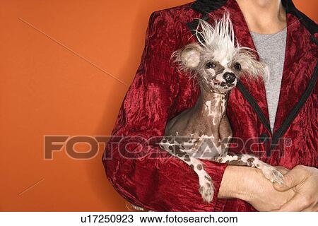 Stock Image - Male wearing velvet jacket and holding Chinese Crested dog. Fotosearch