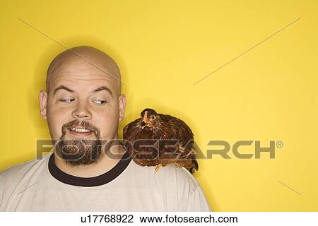 Man looking at Golden Laced Wyandotte chicken on his shoulder View Large Photo Image Stock Image - Man looking at Golden Laced Wyandotte chicken on his shoulder. Fotosearch