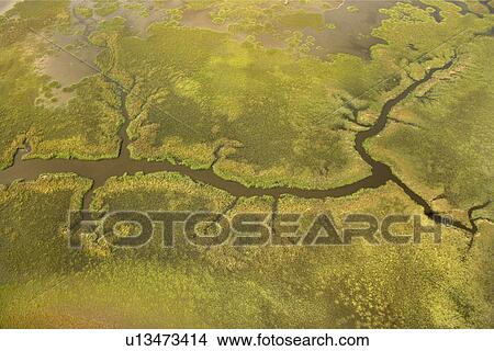 Picture - Aerial view of tributary on Bald Head Island, North Carolina. Fotosearch