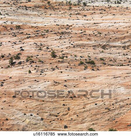 Desert landscape in Zion National Park, Utah. View Large Photo Image Stock Photography - Desert landscape in Zion National Park, Utah.. Fotosearch