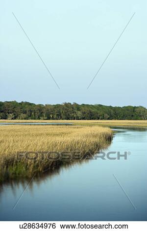 Stock Photograph - Scenic marsh landscape on Bald Head Island, North Carolina. Fotosearch