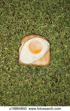 Stock Image - Fried egg on toast in grass.. Fotosearch